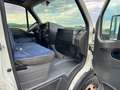 Iveco Daily Daily 35C14 Doppelkabine Pritsche 3.0 Weiß - thumbnail 6