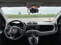 Fiat Panda 1.0 firefly hybrid Sport s&s 70cv - thumbnail 4