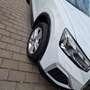 Audi Q2 35 TFSI advanced Weiß - thumbnail 10