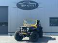 Jeep Wrangler 4.0i Terrein Beul 40 inch |Apk tot Mei 2027 Geel - thumbnail 26