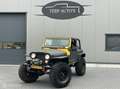 Jeep Wrangler 4.0i Terrein Beul 40 inch |Apk tot Mei 2027 Geel - thumbnail 20