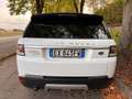 Land Rover Range Rover Sport 3.0 TDV6 HSE TETTO PANORAMICO - INTERNO BICOLORE Blanc - thumbnail 7