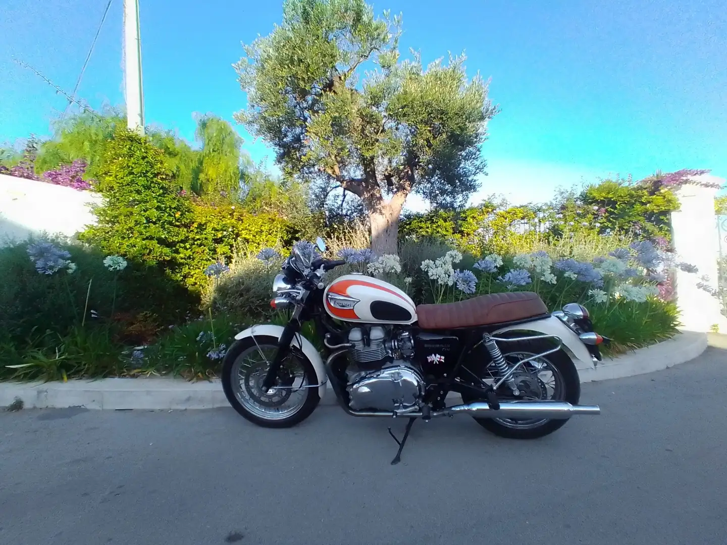 Triumph Bonneville T100 ASI  con CRS.. maggio 2025.. Alb - 2