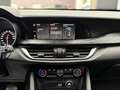 Alfa Romeo Stelvio Stelvio 2.2 rwd 160cv Grijs - thumbnail 12