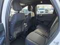 Ford Kuga 2,5 Duratec PHEV ST-Line  Automatik Weiß - thumbnail 15
