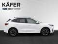 Ford Kuga 2,5 Duratec PHEV ST-Line  Automatik Weiß - thumbnail 5