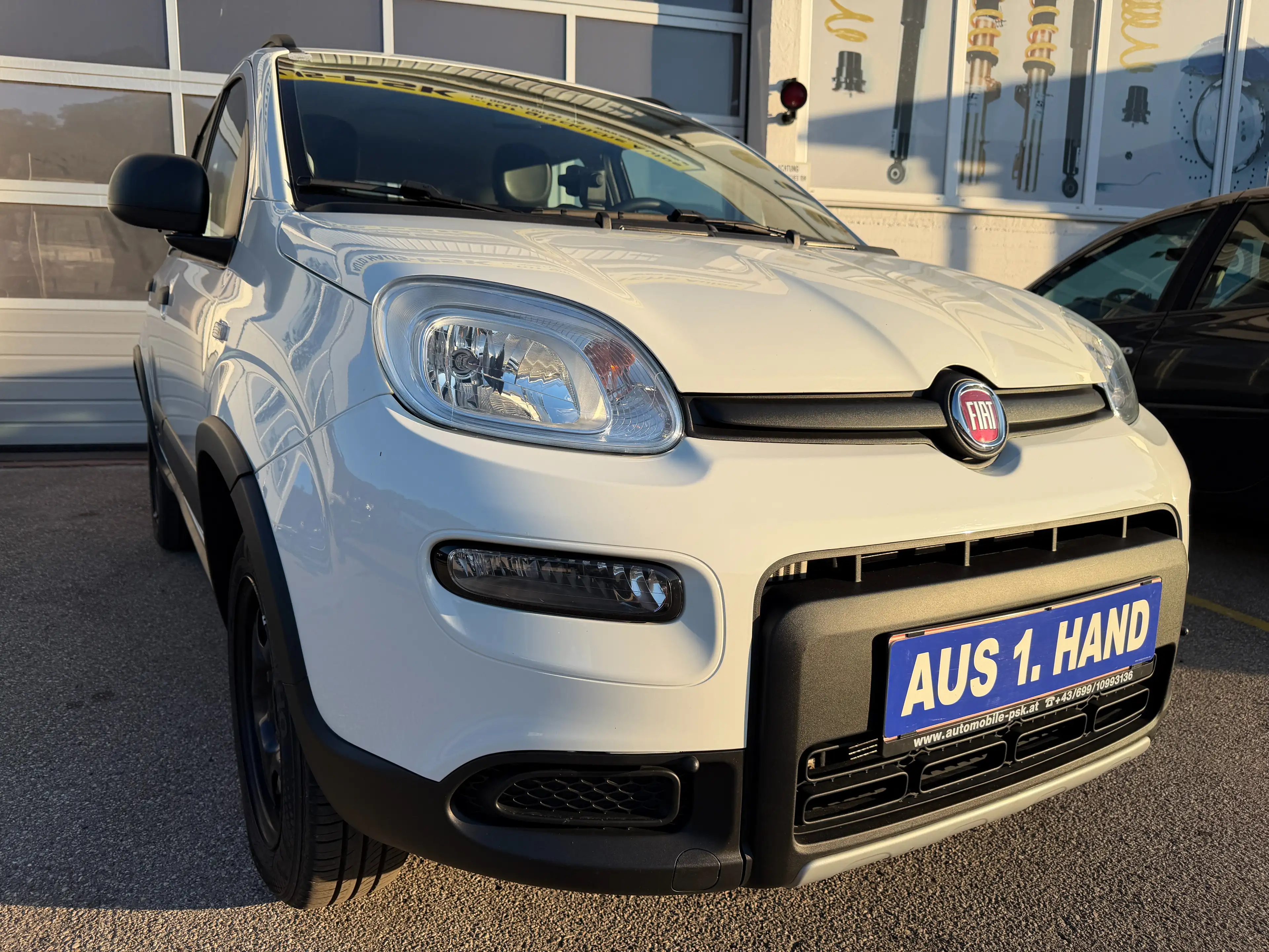 Fiat Panda Panda TwinAir Turbo 85 4x4 Wild Wild — photo 9