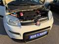 Fiat Panda Panda TwinAir Turbo 85 4x4 Wild Wild Weiß - thumbnail 20