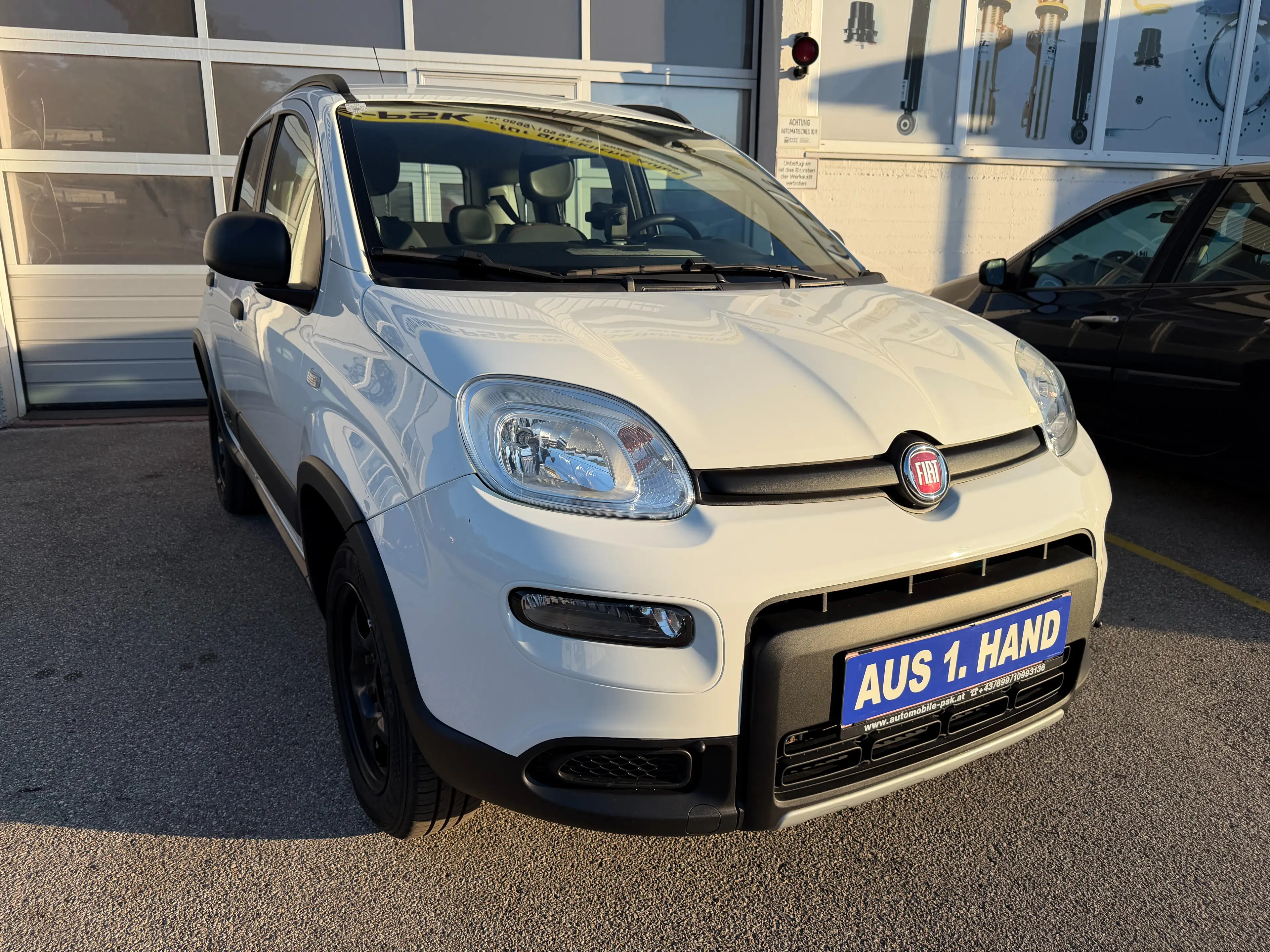 Fiat Panda Panda TwinAir Turbo 85 4x4 Wild Wild — photo 4