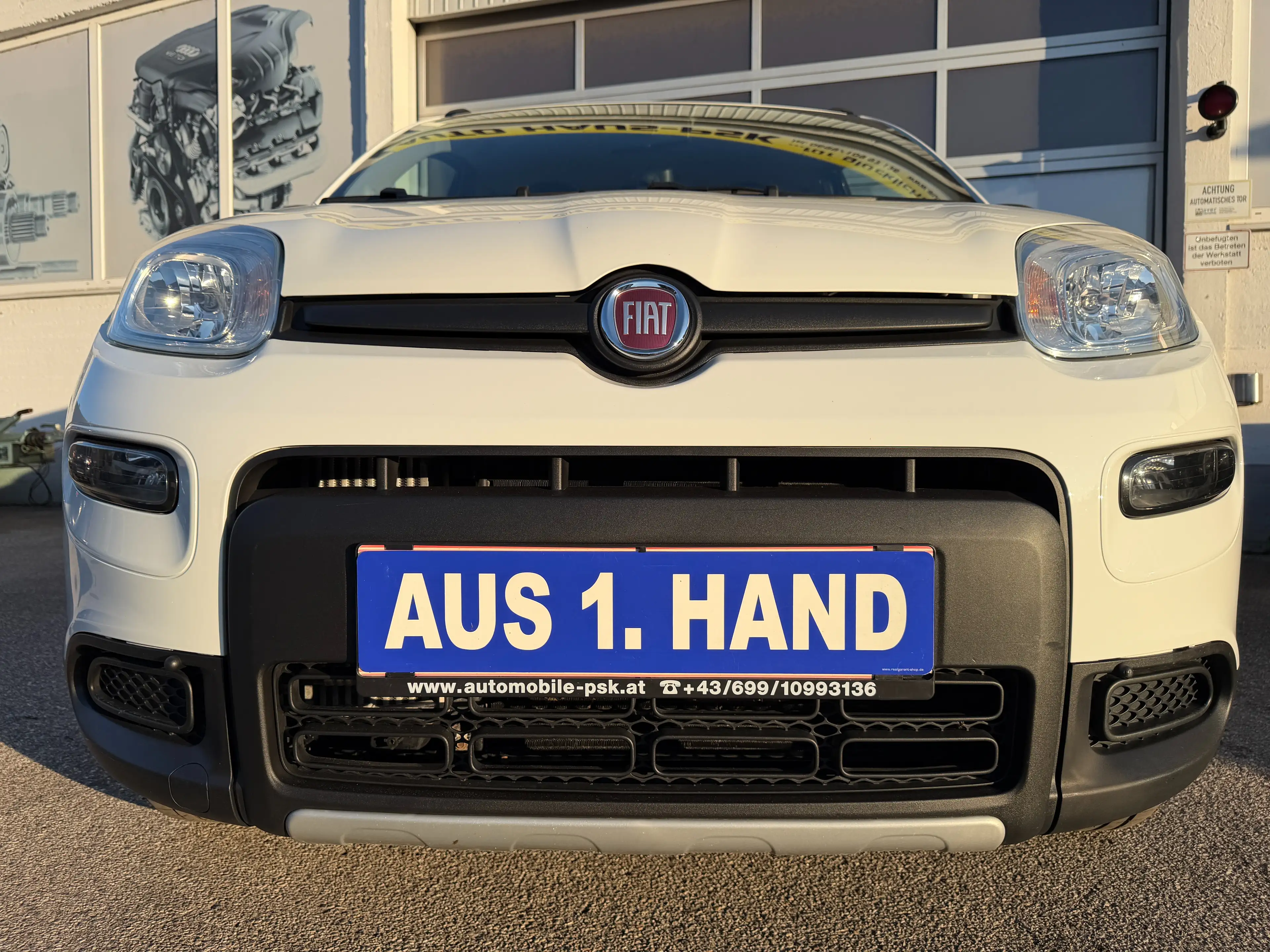 Fiat Panda Panda TwinAir Turbo 85 4x4 Wild Wild — photo 11