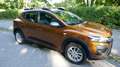 Dacia Sandero Sandero Stepway TCe 100 ECO-G Expression Bronze - thumbnail 4