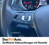 Volkswagen Tiguan Highline TDI SCR 4MOTION DSG Grau - thumbnail 10