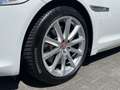 Jaguar XJ 3.0 V6D 275pk Premium Luxury Automaat | Leder | Xe Blanc - thumbnail 12