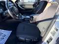 BMW 320 320d *12 Monate garantie* Weiß - thumbnail 14