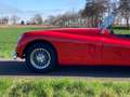 Jaguar Roadster Rood - thumbnail 9