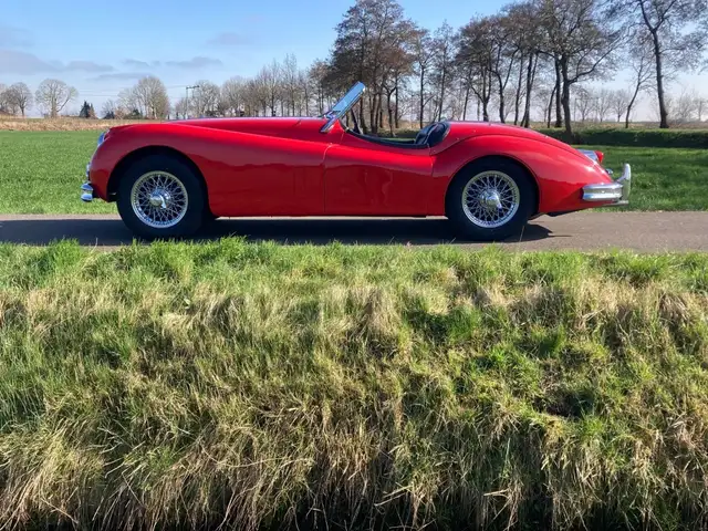 Jaguar XK