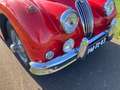 Jaguar Roadster Rood - thumbnail 6