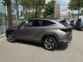 Hyundai TUCSON Shine Sensation Plug-in Brun - thumbnail 19