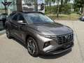Hyundai TUCSON Shine Sensation Plug-in Brun - thumbnail 10