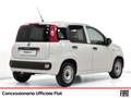 Fiat Panda van 1.2 gpl pop 69cv 2p.ti serie 3 e6d-temp Blanc - thumbnail 2