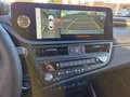 Lexus ES 300 h Luxury Line ACC+LED+Navi+SD+SHZ+LM Gris - thumbnail 15
