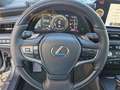 Lexus ES 300 h Luxury Line ACC+LED+Navi+SD+SHZ+LM Gris - thumbnail 13