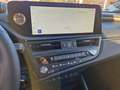 Lexus ES 300 h Luxury Line ACC+LED+Navi+SD+SHZ+LM Gris - thumbnail 14
