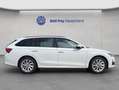 Skoda Octavia Combi 2.0 TDI DSG Selection AHK NAV SMAR Weiß - thumbnail 4