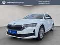 Skoda Octavia Combi 2.0 TDI DSG Selection AHK NAV SMAR Weiß - thumbnail 1