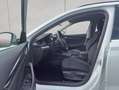 Skoda Octavia Combi 2.0 TDI DSG Selection AHK NAV SMAR Weiß - thumbnail 6