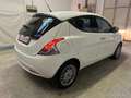 Lancia Ypsilon Ypsilon III 2015 1.2 Platinum 69cv Bianco - thumbnail 3