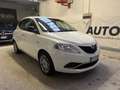 Lancia Ypsilon Ypsilon III 2015 1.2 Platinum 69cv Bianco - thumbnail 1