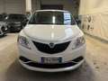 Lancia Ypsilon Ypsilon III 2015 1.2 Platinum 69cv Bianco - thumbnail 8