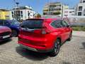 Honda CR-V 2.0i-VTEC 4WD Executive / 8-fach Bereift | AHK Red - thumbnail 6