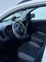 Fiat Panda Panda 1.0 firefly hybrid City Life s&s Bianco - thumbnail 5