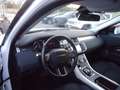 Land Rover Range Rover Evoque 5p 2.0 td4 Pure Business edition 180cv auto Bianco - thumbnail 11