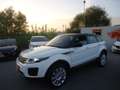 Land Rover Range Rover Evoque 5p 2.0 td4 Pure Business edition 180cv auto Bianco - thumbnail 7