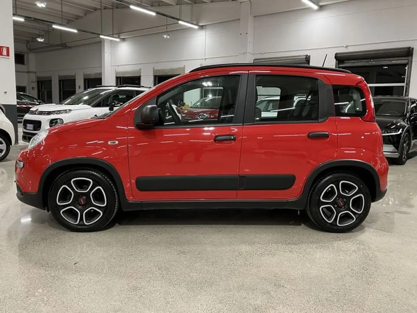 Fiat Panda 1.0 FireFly Hybrid City Life con finanziamento Rosso - 2
