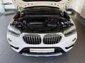 BMW X1 sDr.18i Aut. xLine KOMF+KAM+LEDer+AHK+SPUR+AL Weiß - thumbnail 12