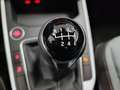SEAT Ibiza 1.0 TSI S&S Special Edition 115 Gris - thumbnail 16