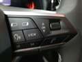 SEAT Ibiza 1.0 TSI S&S Special Edition 115 Gris - thumbnail 11