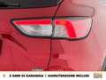 Ford Kuga 2.5 phev titanium 2wd 225cv e-shifter Rouge - thumbnail 18