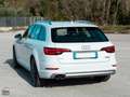 Audi A4 allroad 2.0 TDI 190 CV S Q. S-TRONIC FULL LED VIRTUAL Bianco - thumbnail 4