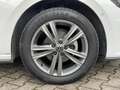 Volkswagen Polo Polo 1.0 EVO 5p R-Line Blanc - thumbnail 19