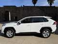 Toyota RAV 4 2.5 hybrid 2WD Business Blanc - thumbnail 5