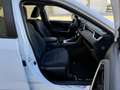 Toyota RAV 4 2.5 hybrid 2WD Business Blanc - thumbnail 13