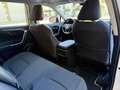 Toyota RAV 4 2.5 hybrid 2WD Business Blanc - thumbnail 9