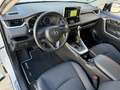 Toyota RAV 4 2.5 hybrid 2WD Business Blanc - thumbnail 12