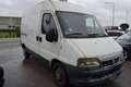 Fiat Ducato DUCATO L2-H2 CLIMA!!! Blanc - thumbnail 3