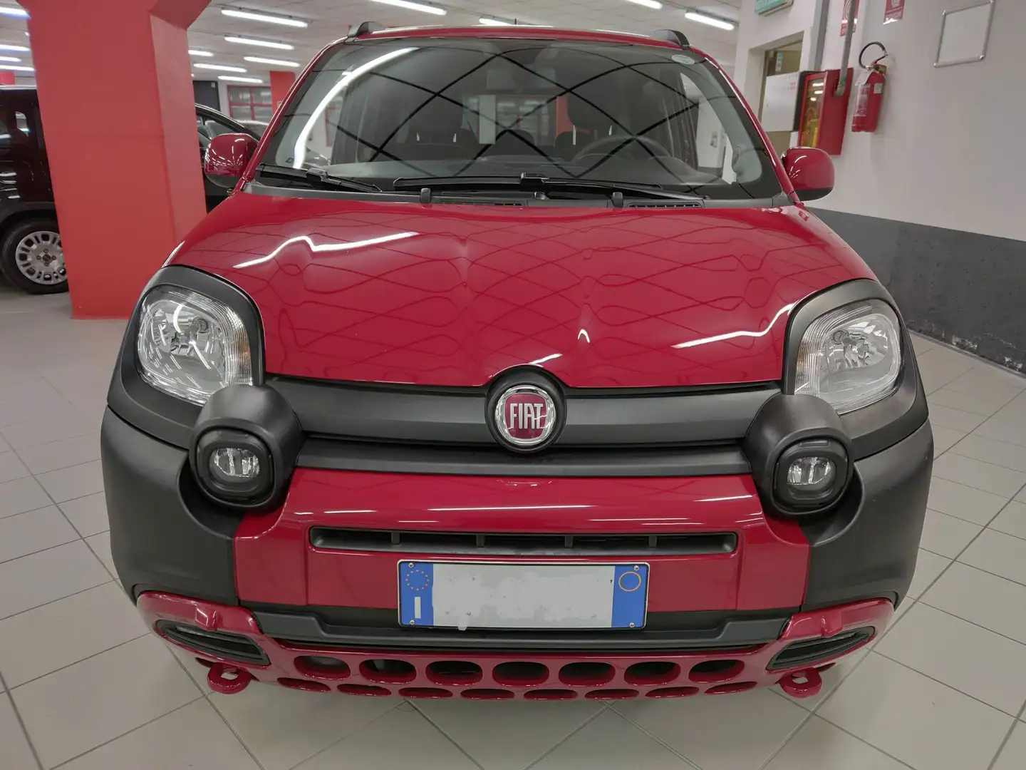Fiat Panda Cross 1.0 70cv Hybrid 2WD + Car Play Rosso - 2
